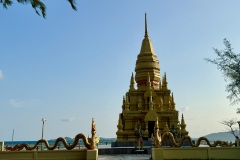 IMG_4437