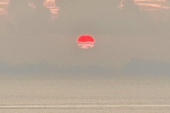 IMG_4523
