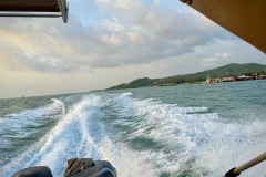 IMG_4600