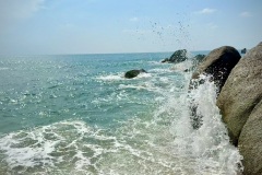 IMG_4680