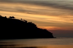 IMG_4780