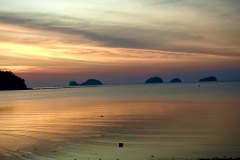 IMG_4781